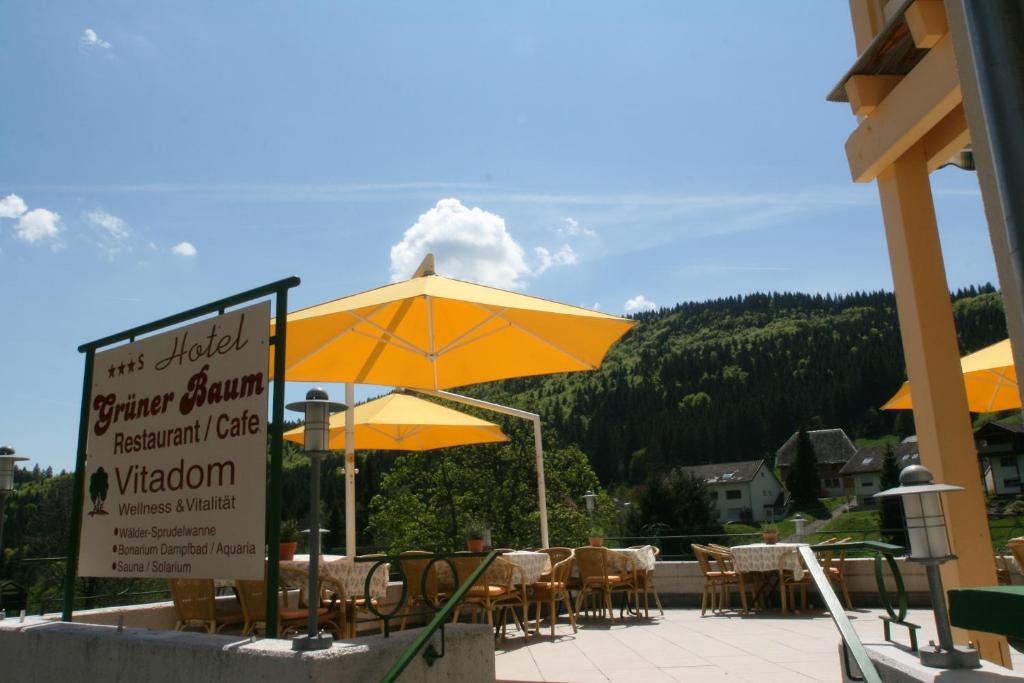 Gruner Baum Naturparkhotel & Schwarzwald-Restaurant 托特瑙 外观 照片